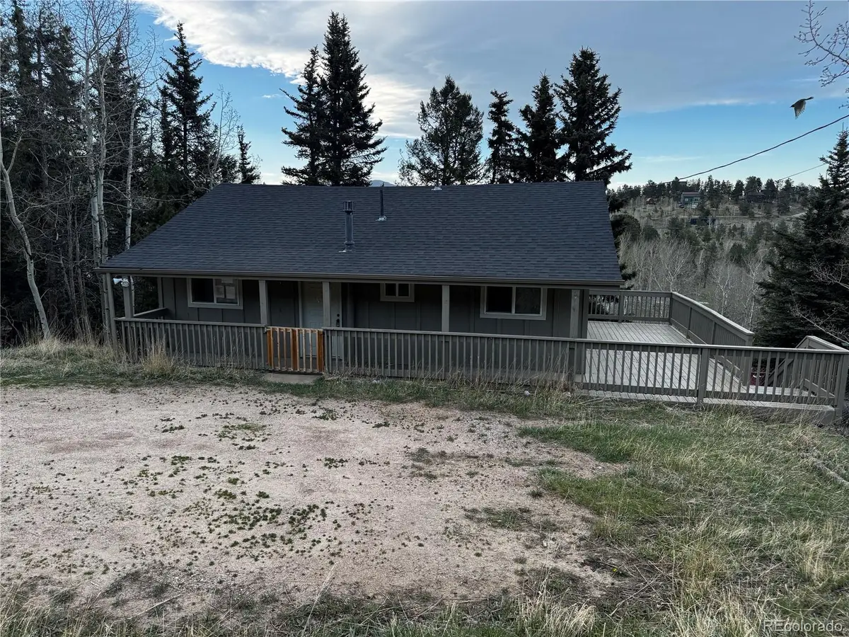 949 S Pine Drive, Bailey, CO 80421 - #1