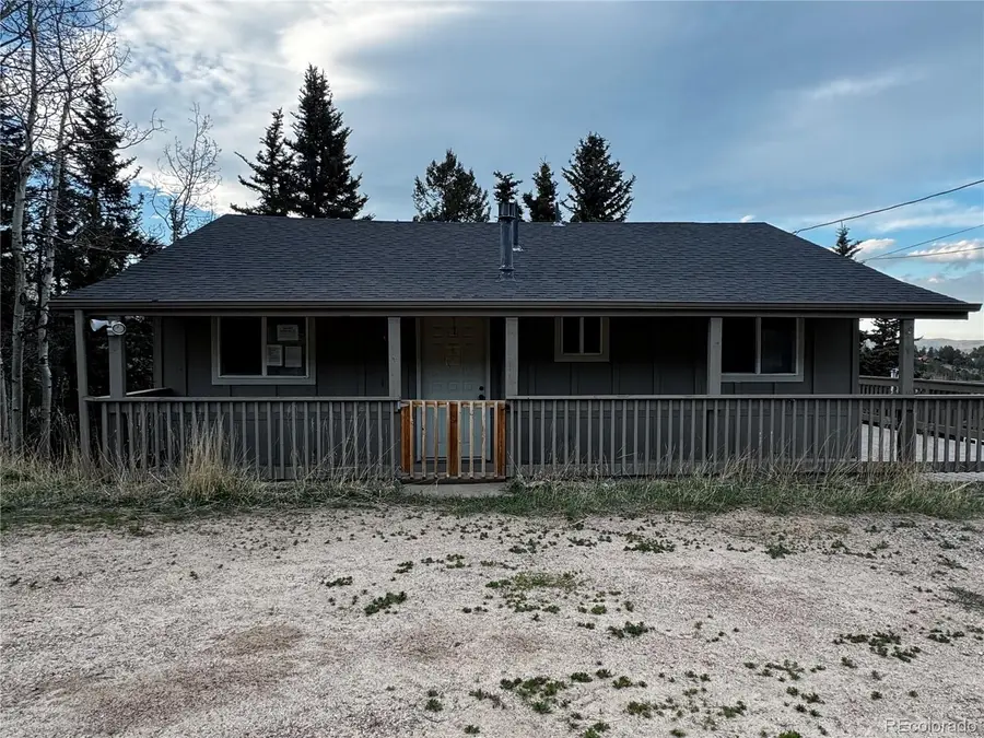 949 S Pine Drive, Bailey, CO 80421 - #3