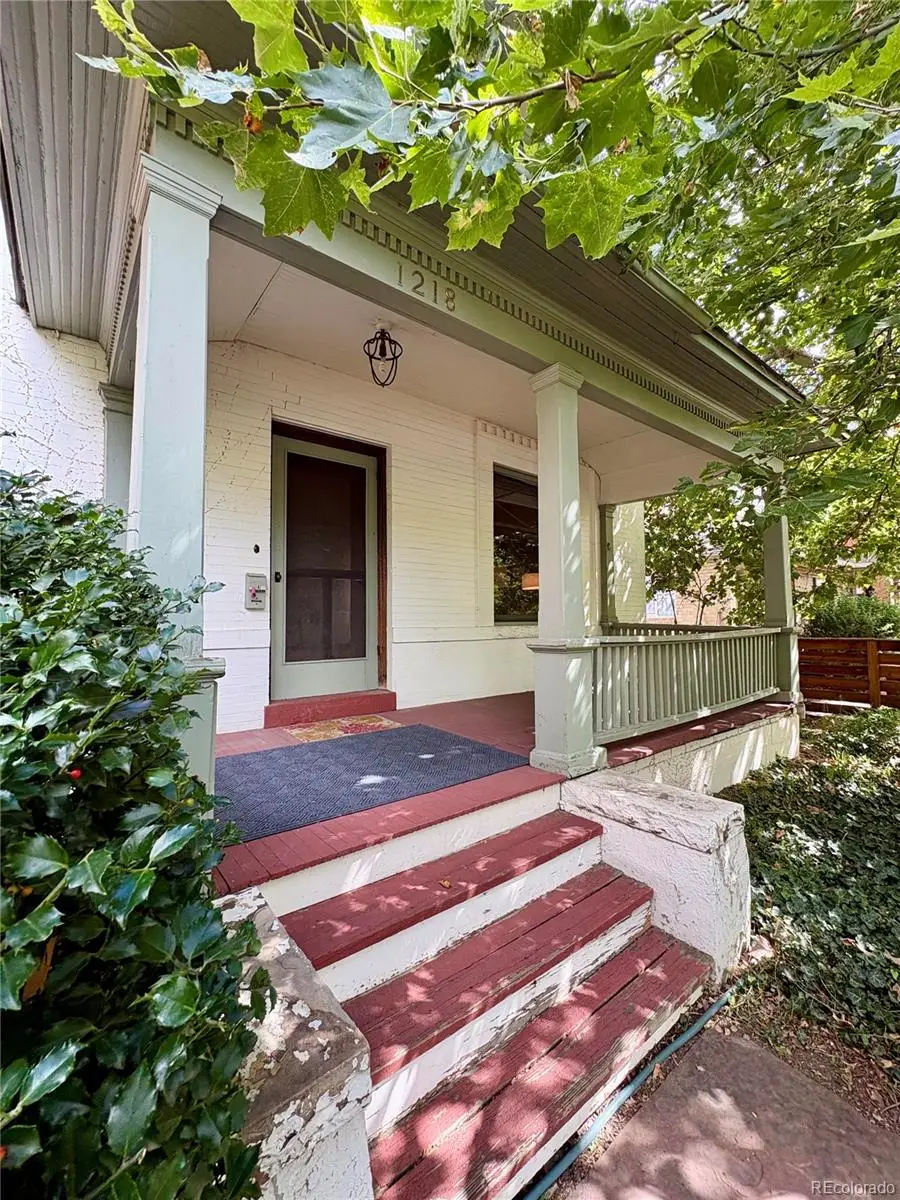 1218 N Downing Street, Denver, CO 80218 - #1