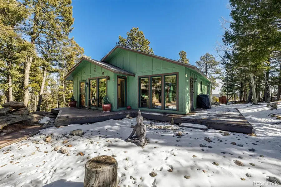 13202 Riley Peak Road, Conifer, CO 80433 - #3