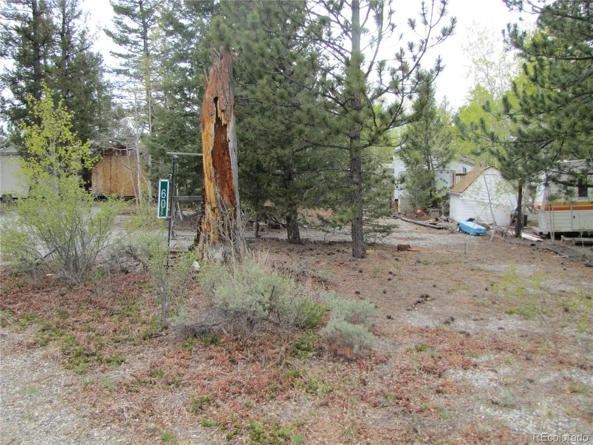 60 Rail Way, Hartsel, CO 80449 - #1