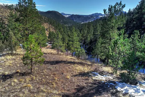 6 Turret Peak Trail, Pine, CO 80470