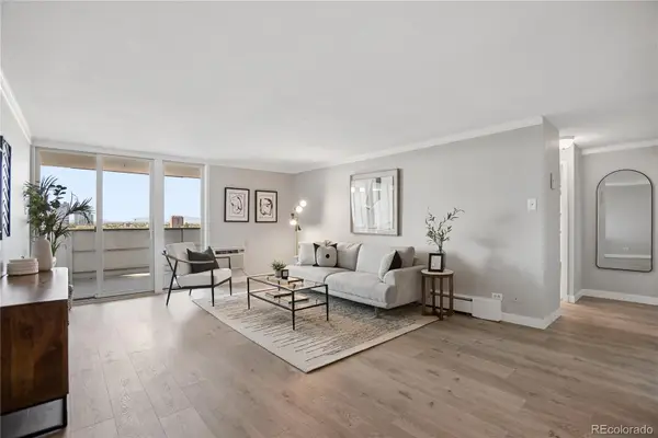 1029 E 8th Avenue #702, Denver, CO 80218