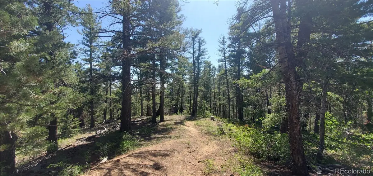 Lot 6764 Kerrigan Road, Fort Garland, CO 81133 - Image #1