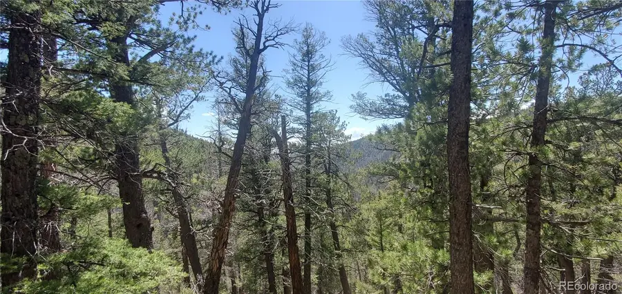 Lot 6764 Kerrigan Road, Fort Garland, CO 81133 - Image #3