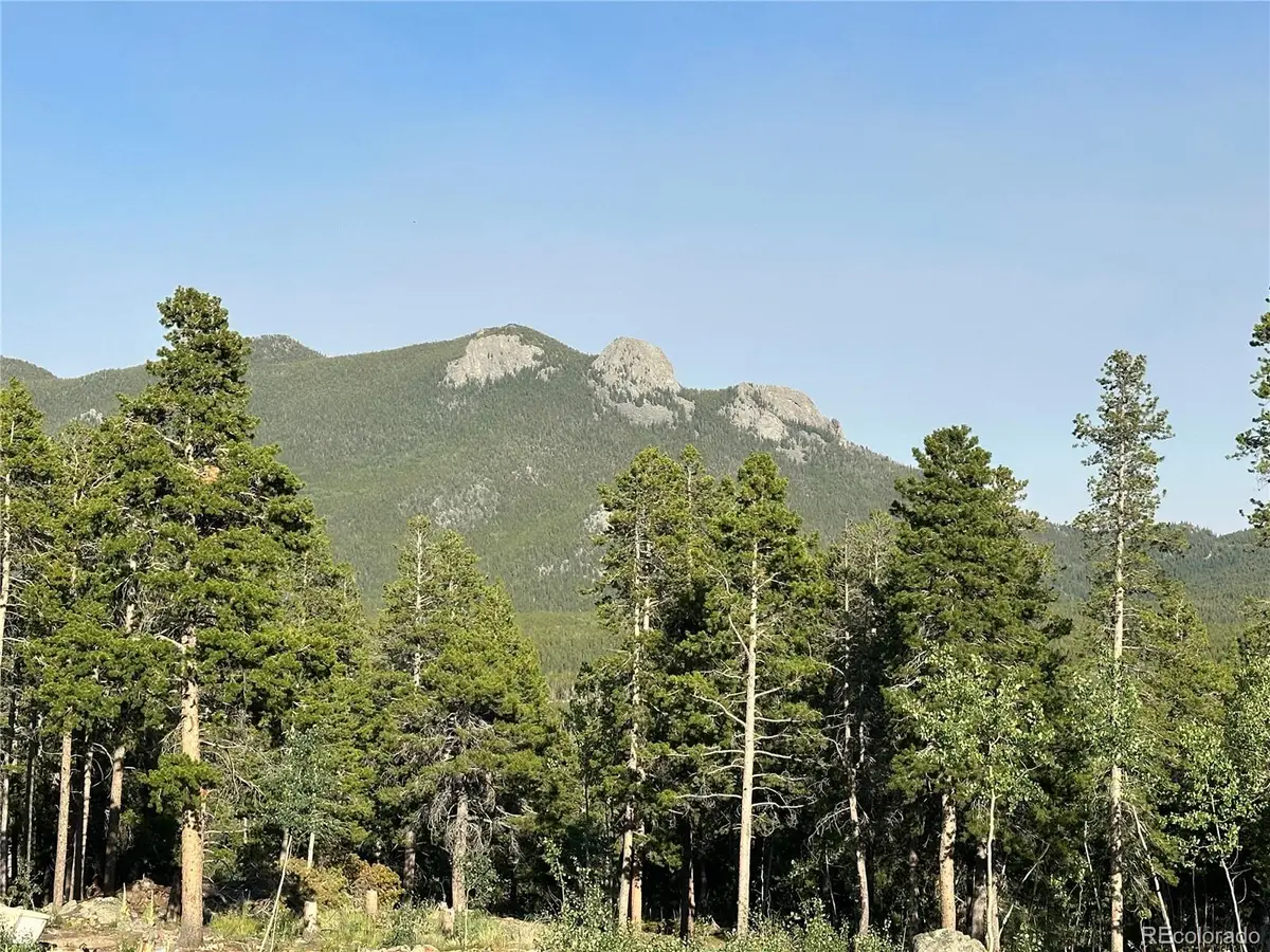 Mountain Meadows, Black Hawk, CO 80422 - #1