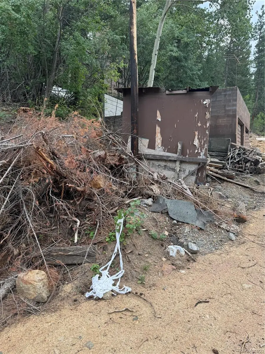 10762 Twin Spruce Road, Golden, CO 80403 - Image #3