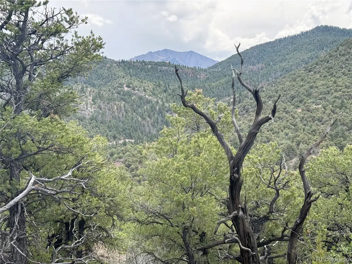3282 Lower Camp Road, Howard, CO 81233 - #1