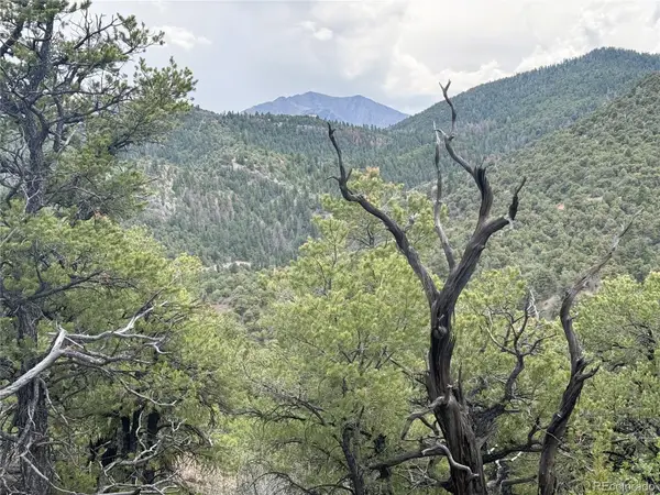 3282 Lower Camp Road, Howard, CO 81233