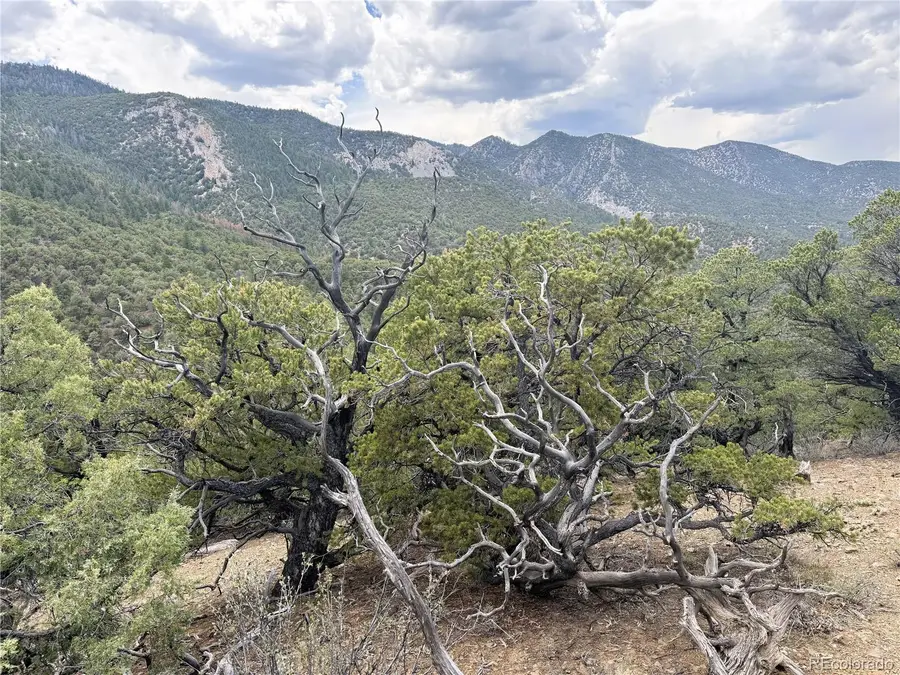 3282 Lower Camp Road, Howard, CO 81233 - #3