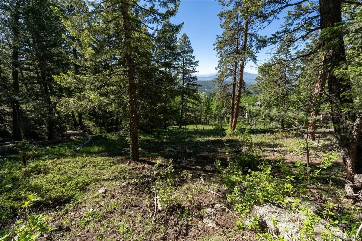 11698 Nichols Way, Conifer, CO 80433 - #1