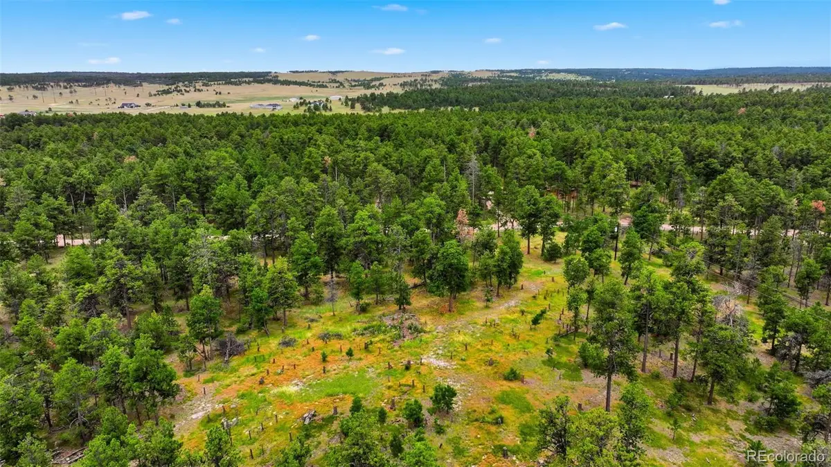 17374 W Goshawk Road, Colorado Springs, CO 80908 - #1