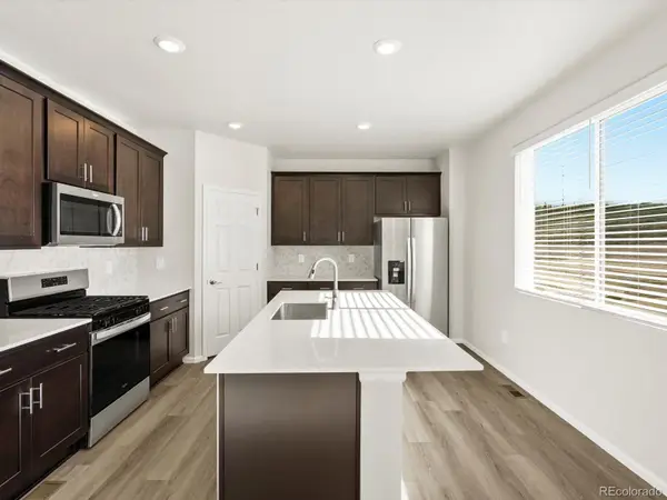 1656 Yampa River Drive, Windsor, CO 80550