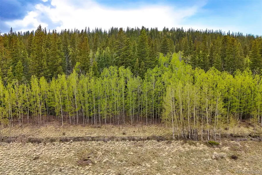 00 Michigan Hill Road, Jefferson, CO 80456 - #3