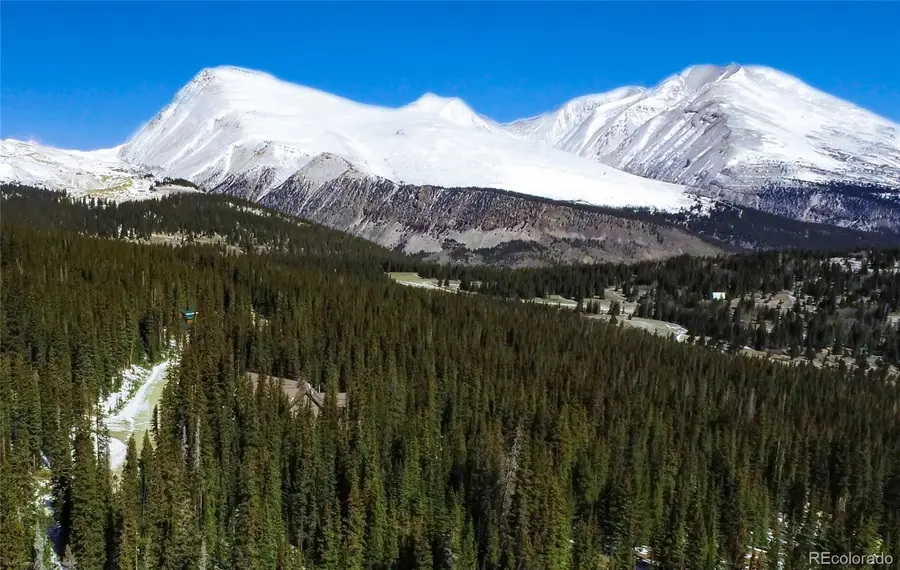472 Prunes Place, Fairplay, CO 80440 - #3