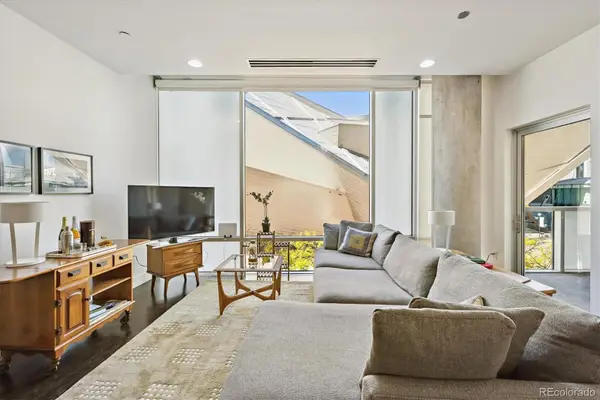 1200 Acoma Street #303, Denver, CO 80204