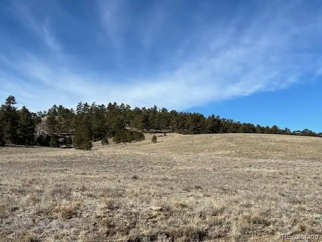 Tbd Highway 9, Hartsel, CO 80449 - #2