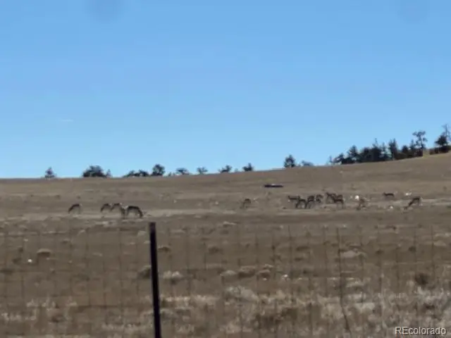 Tbd Highway 9, Hartsel, CO 80449 - #3