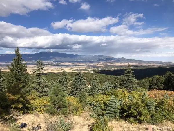 Lot 245 County Road 542, Gardner, CO 81040 - #2
