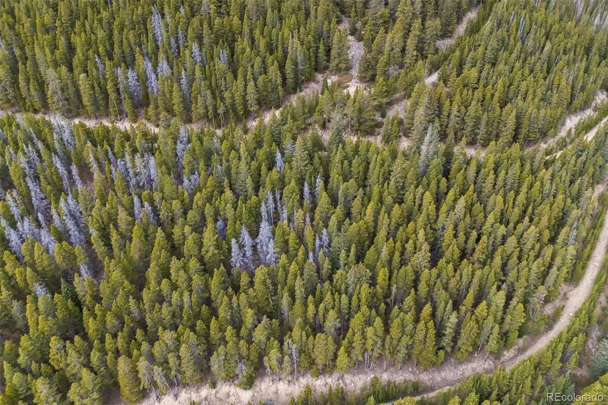 773 Harris Circle, Idaho Springs, CO 80452 - #1
