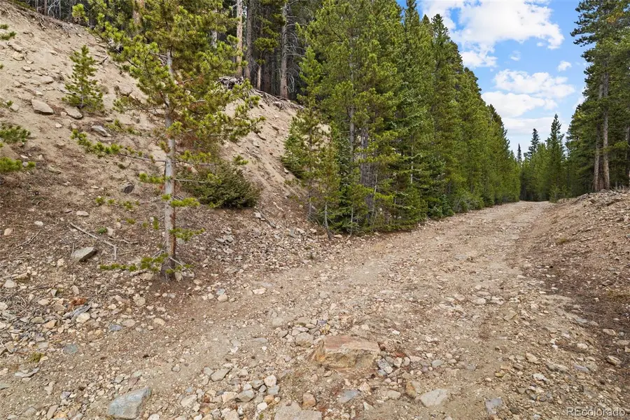 773 Harris Circle, Idaho Springs, CO 80452 - #3