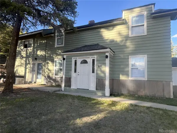 1705 Delane Street, Leadville, CO 80461