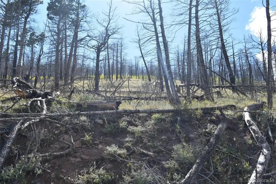 Soubry Pl, Fort Garland, CO 81133 - Image #3