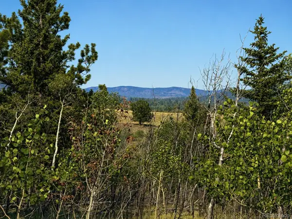 250 Pinto Trail, Como, CO 80432