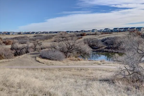 162 Tilbury Avenue, Castle Rock, CO 80104