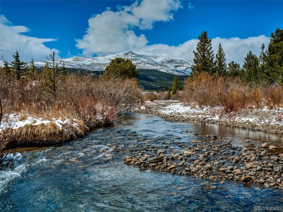 46 Singleton Road, Alma, CO 80420 - #1