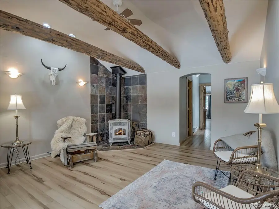 46 Singleton Road, Alma, CO 80420 - #3