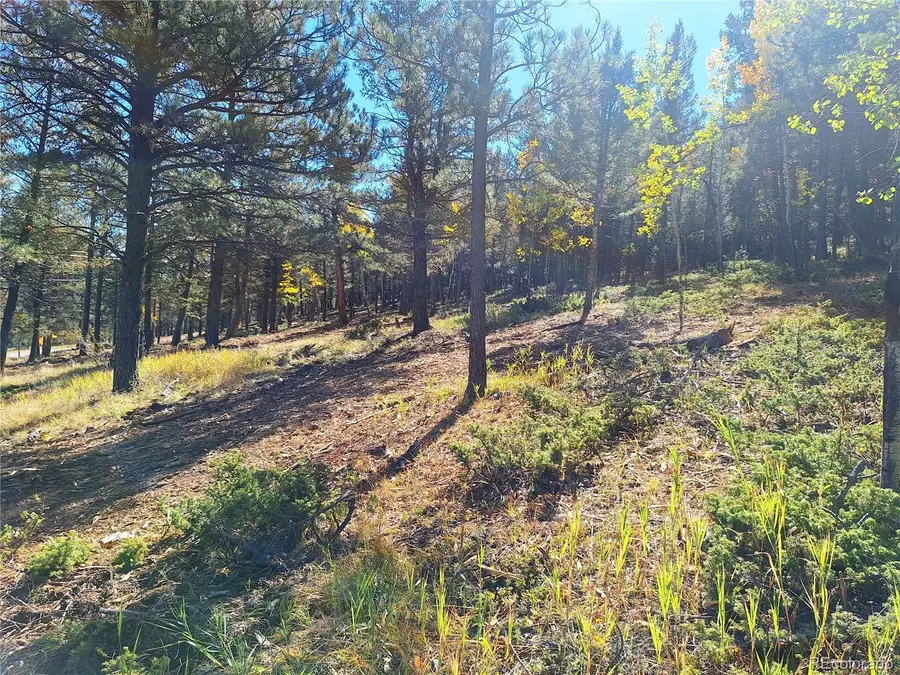 1504 County Road 43, Bailey, CO 80421 - #3