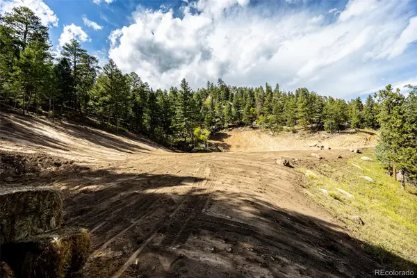9489 S Turkey Creek, Morrison, CO 80465