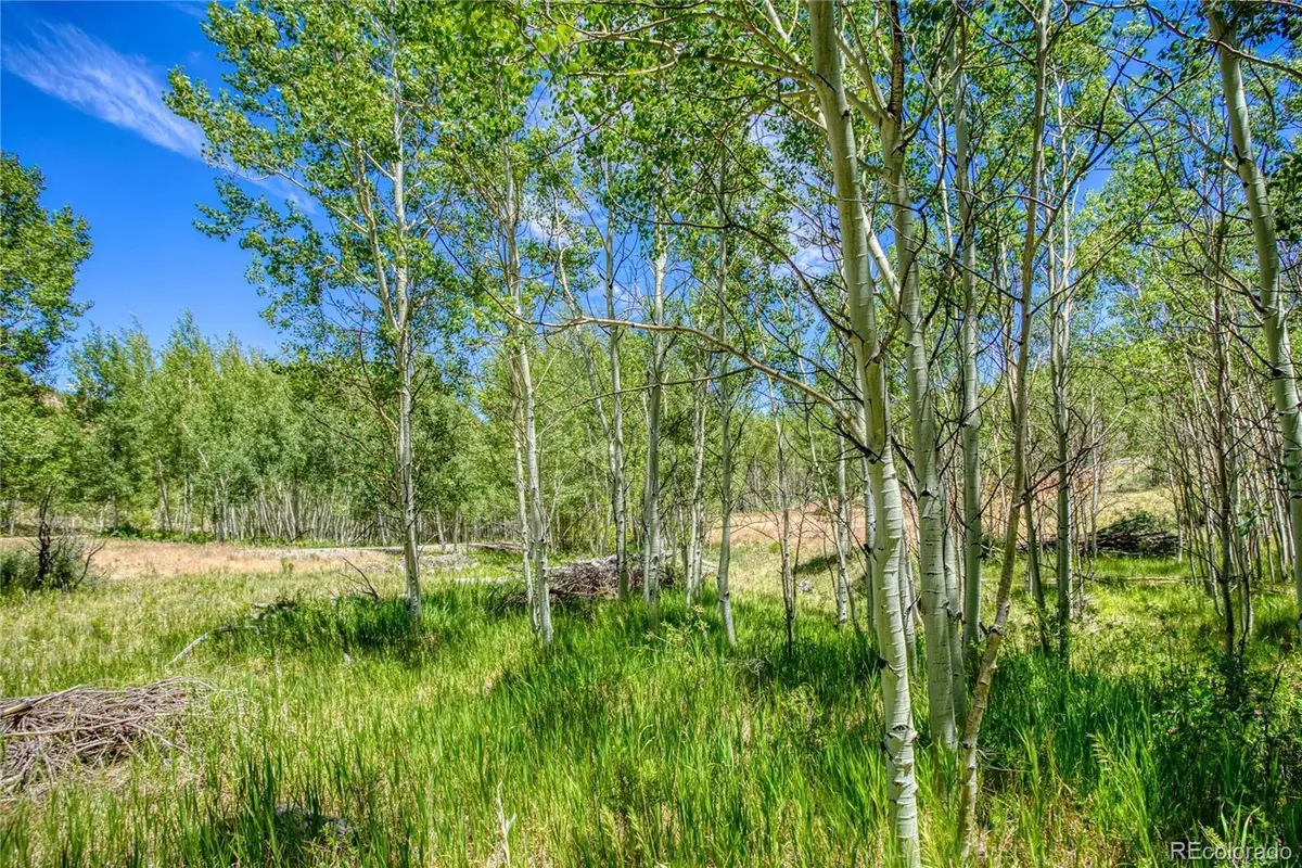 302 Rickel Circle, South Fork, CO 81154 - #1