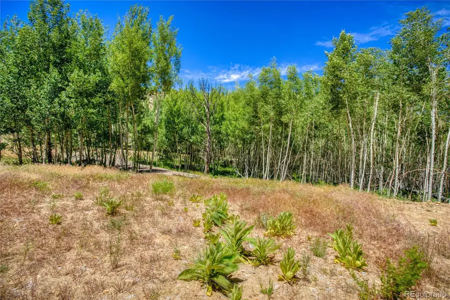 302 Rickel Circle, South Fork, CO 81154 - #3