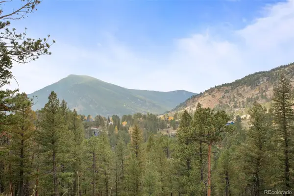 0 Conifer, Evergreen, CO 80439