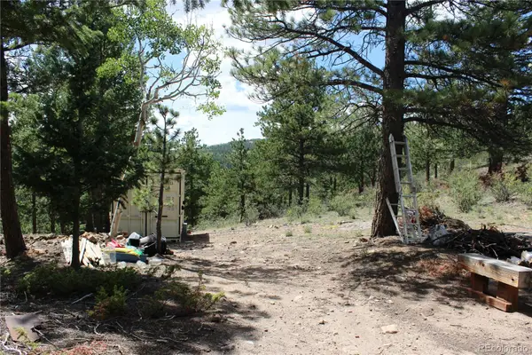 01 Golconda Mine Road, Central City, CO 80427