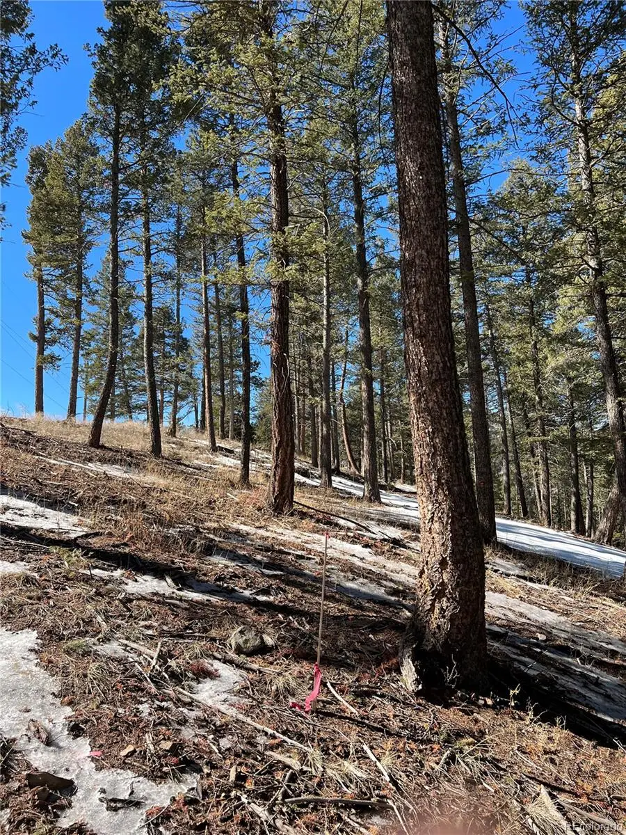7871 Gold Rush, Morrison, CO 80465 - #3