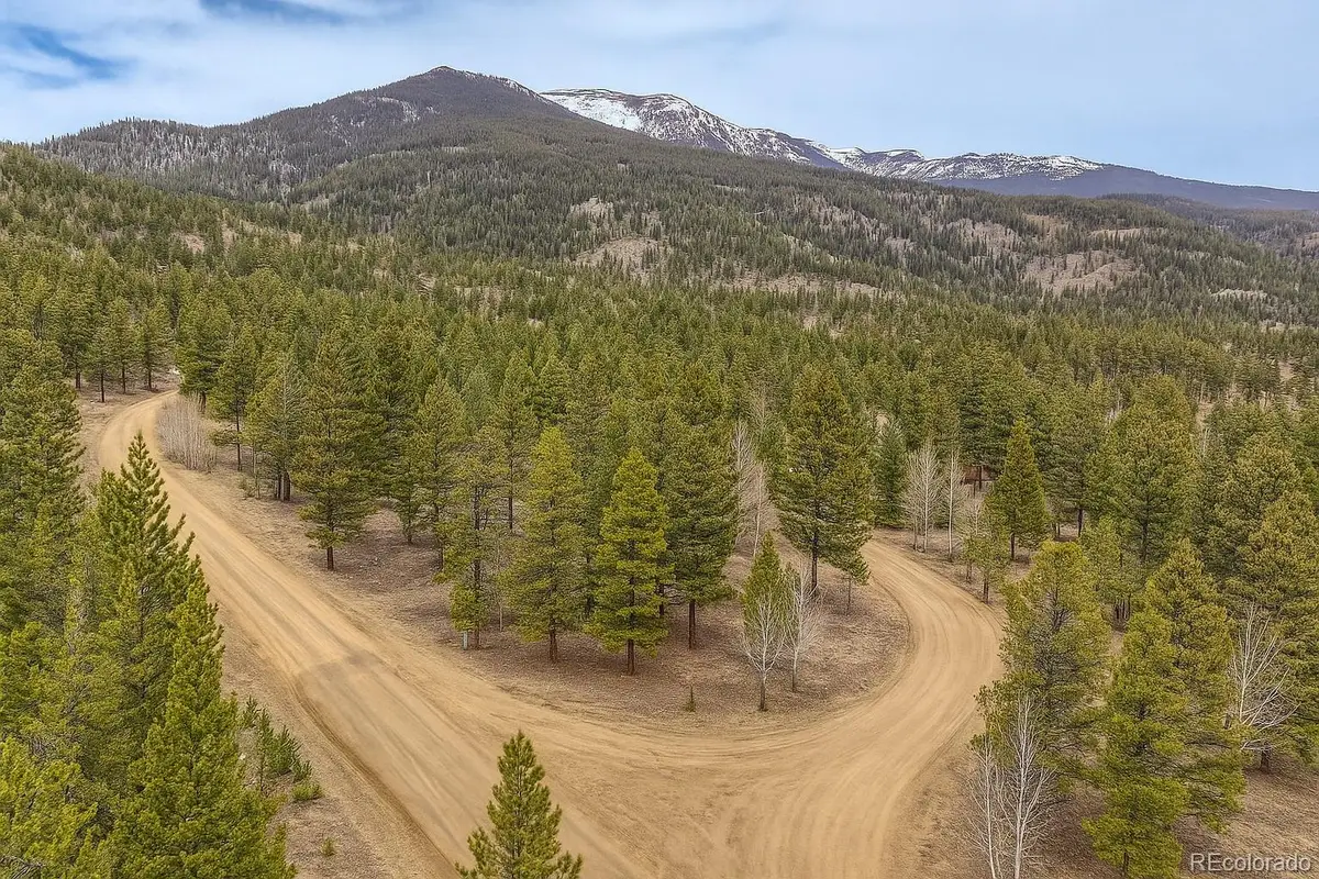30406 National Forest Drive, Buena Vista, CO 81211 - Image #1