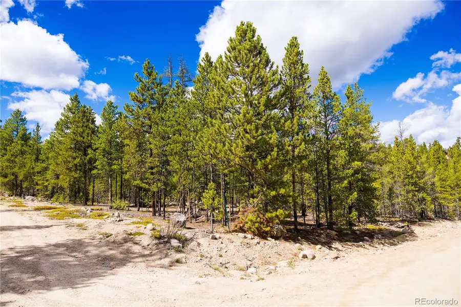 247 Juniper Drive, Twin Lakes, CO 80461 - Image #3