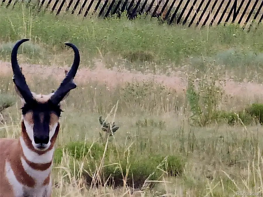 Lot 97 Phase #4 River Ridge Ranch, Walsenburg, CO 81089 - Image #3