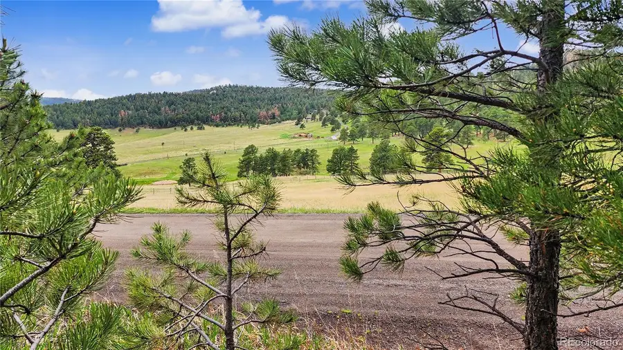 6078 Lone Peak Drive, Evergreen, CO 80439 - #3