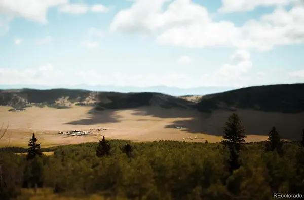 24870 Us Hwy 285, Fairplay, CO 80440