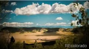 24870 Us Hwy 285, Fairplay, CO 80440 - #2