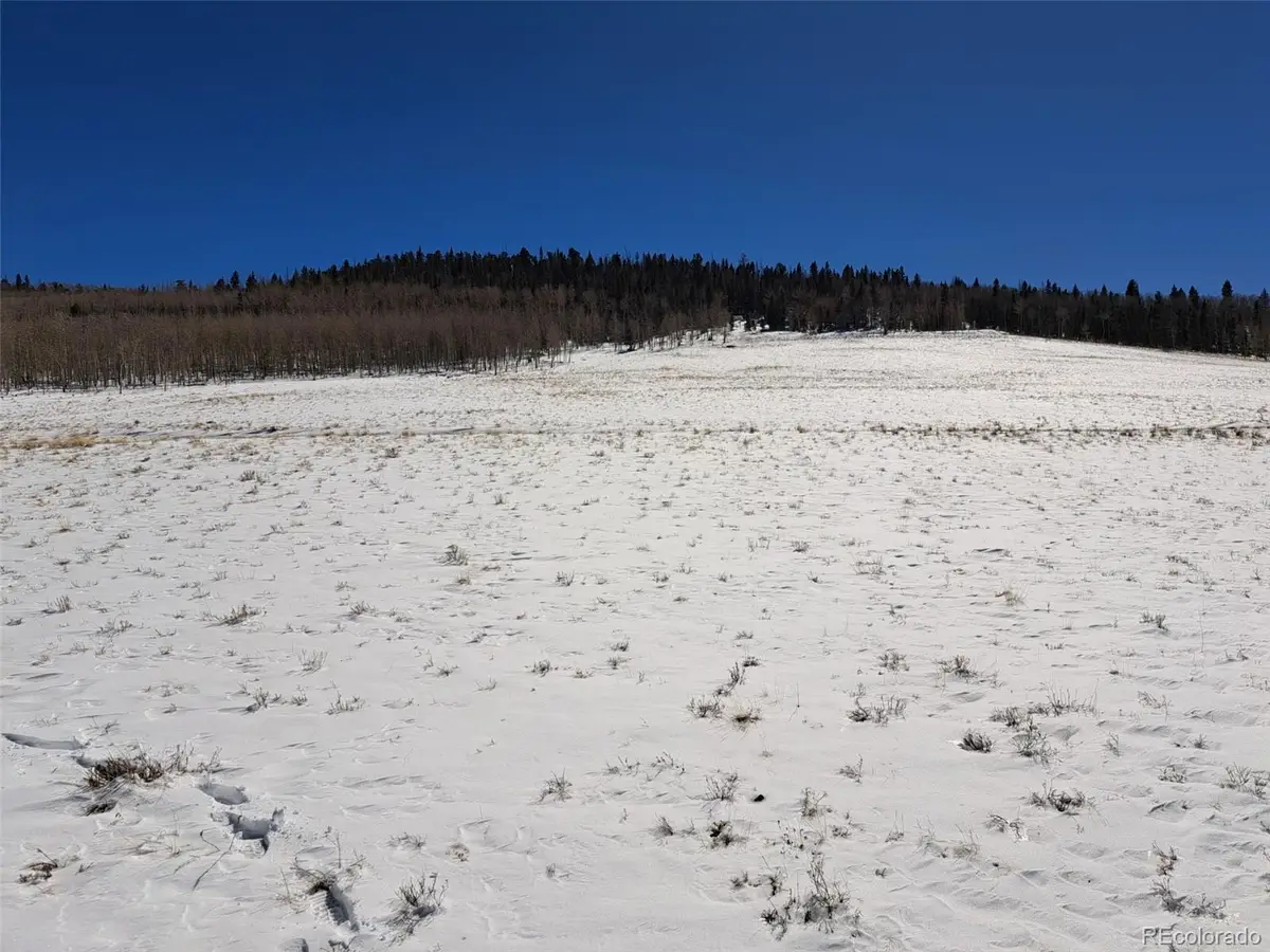 00 Jicarilla Trail, Hartsel, CO 80449 - #1