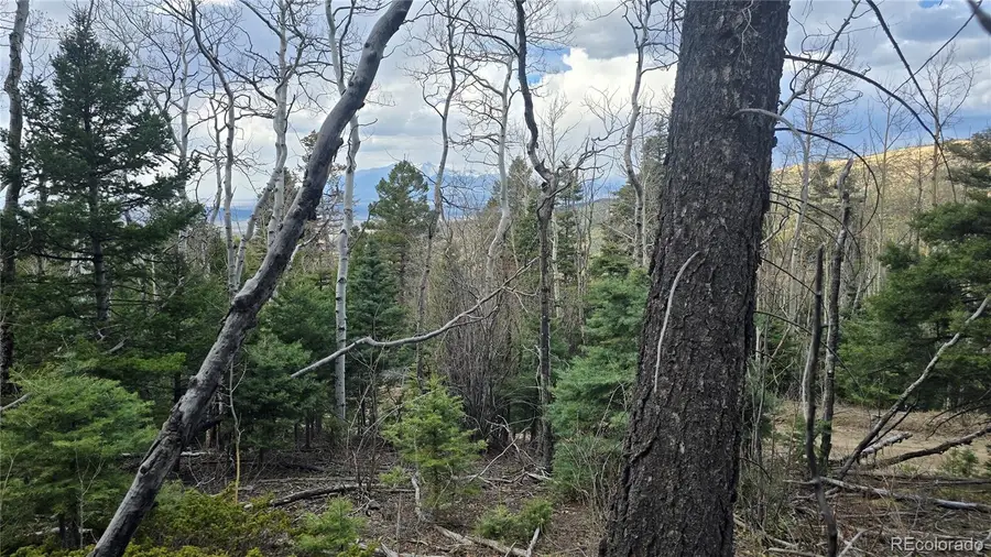 Lot 5261 Scott Road, Fort Garland, CO 81133 - Image #2