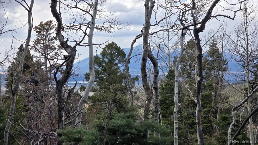 Lot 5261 Scott Road, Fort Garland, CO 81133 - Image #3