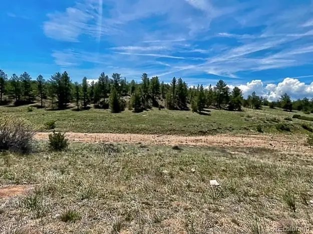 7080 Copper Gulch Road, Cotopaxi, CO 81223 - Image #3