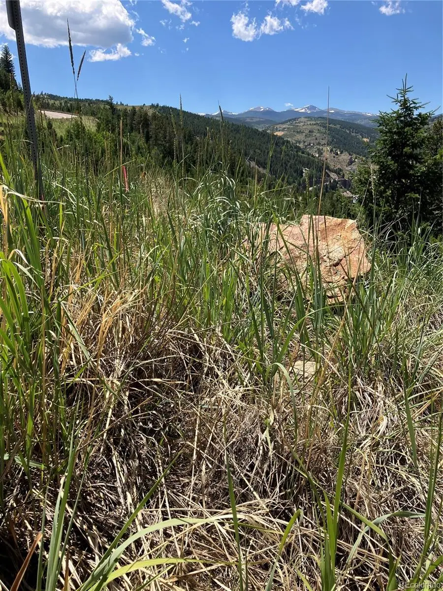 3 Miners Road, Black Hawk, CO 80422 - #3