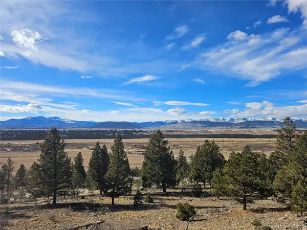 Bonell Drive, Fairplay, CO 80440